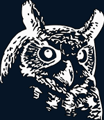 Night Owl theme icon